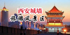 操我吧骚b网中国陕西-西安城墙旅游风景区