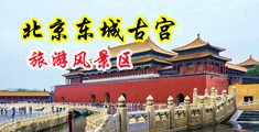 美女被插淫水直流中国北京-东城古宫旅游风景区